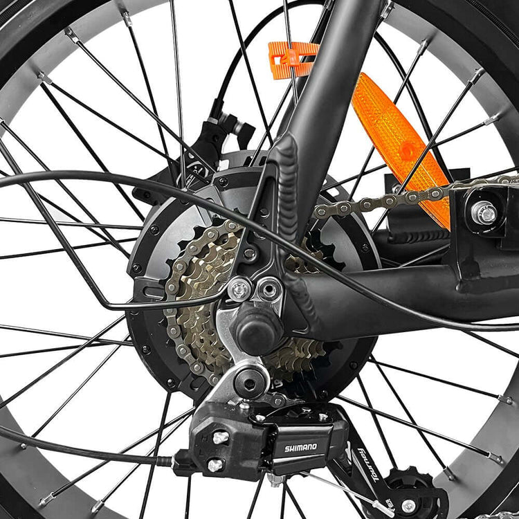 EB2 PRO fatbike | krachtsensor | model zwart - Dailyride