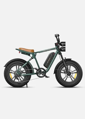 Engwe M20 - Groen - 13 Ah - Dailyride